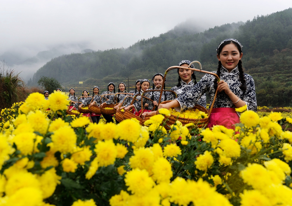 秋天，摄影人的天堂