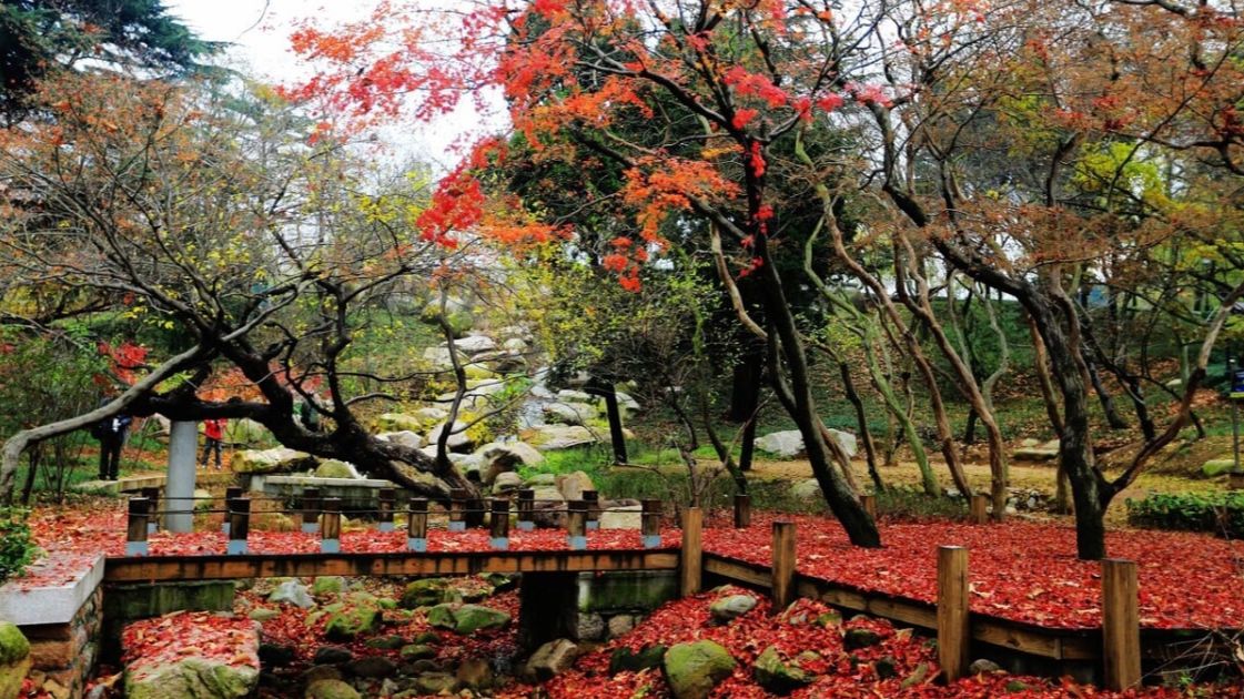 心安即是归处，送你两首描写山居岁月的古诗，感受时光里的爱和暖