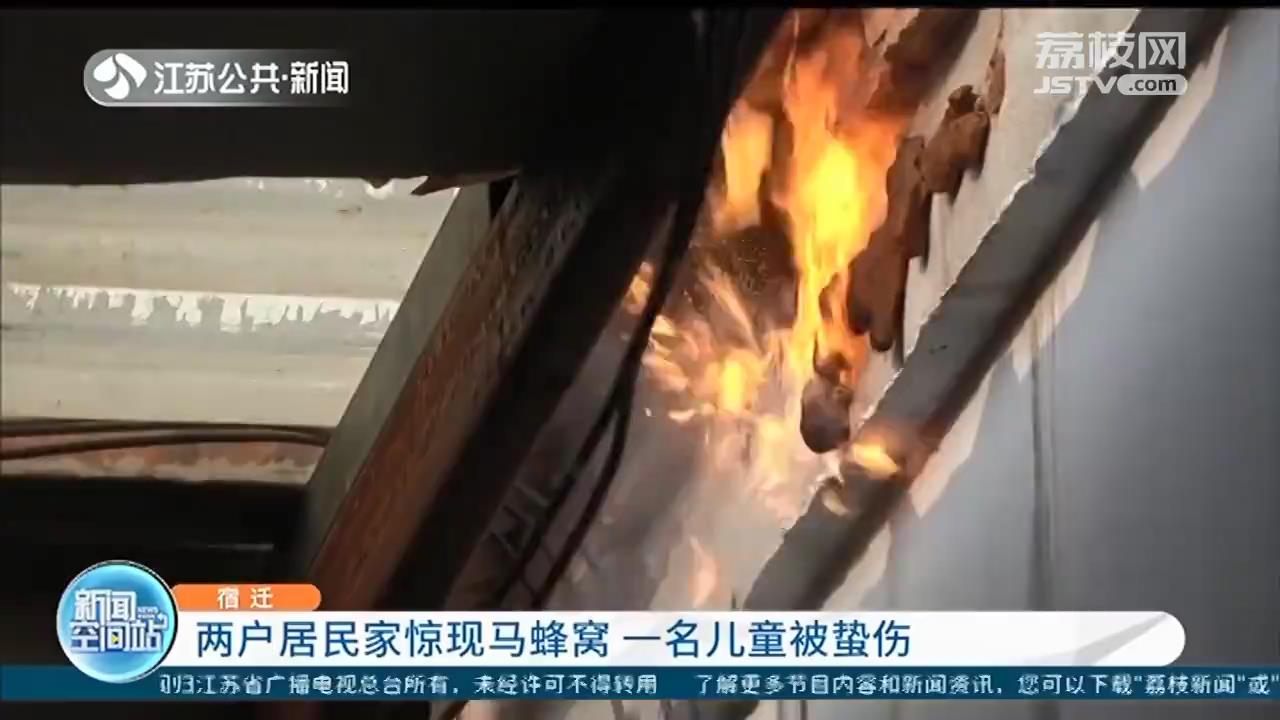 宿迁：多个小区发现马蜂窝 一名儿童被蛰伤