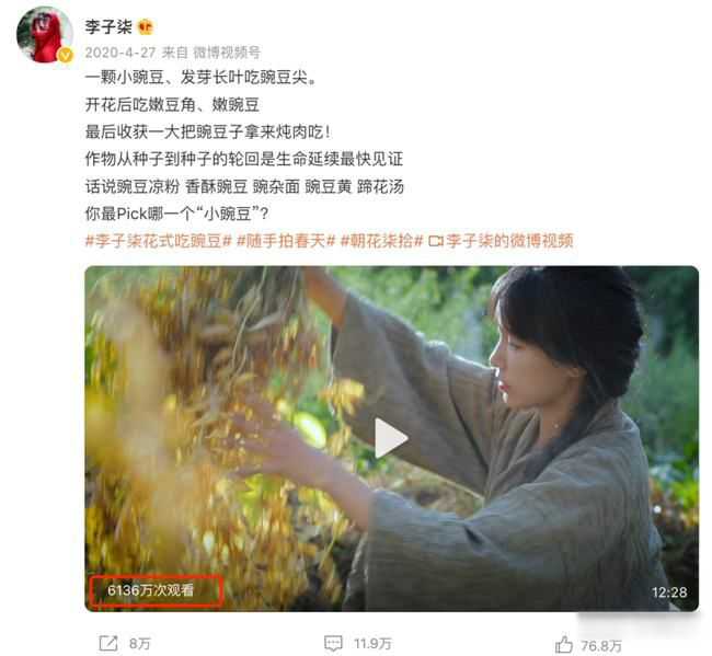 网红李子柒（李佳佳背景资料）怎么停止更新视频,资本手段背后有什么秘密?