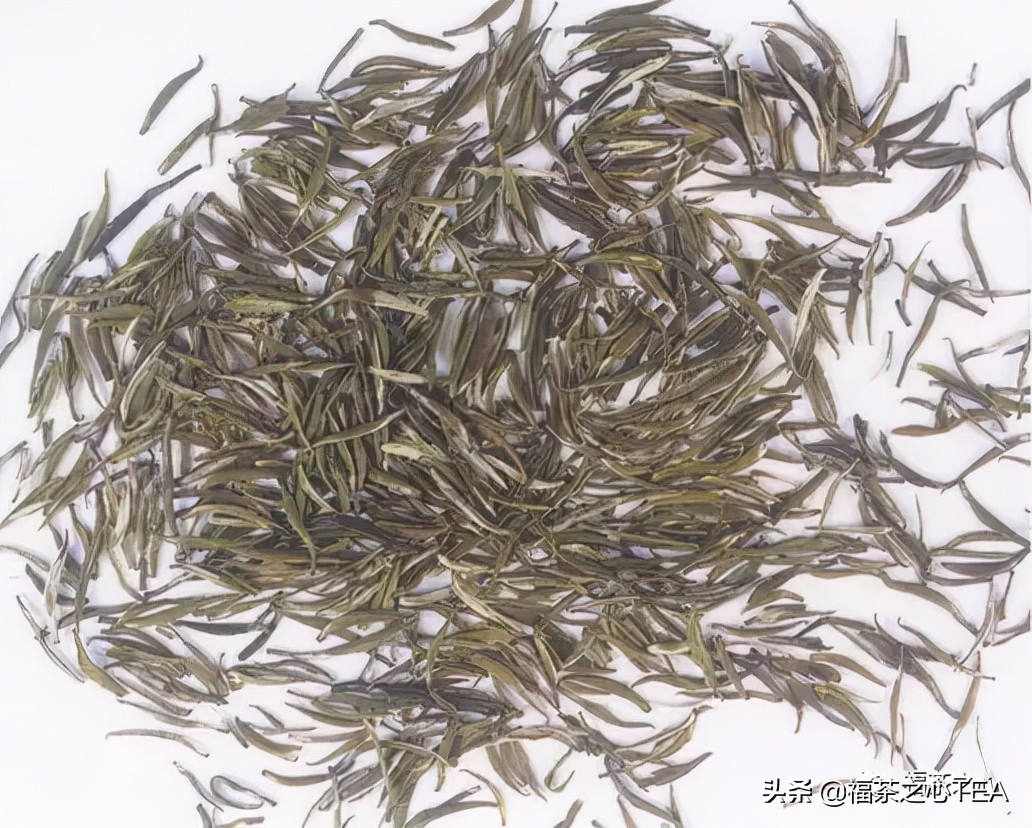茶百科 | 中國茶葉分類大綱（收藏版）