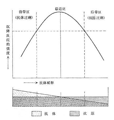 什么是非共价键「专家解答」
