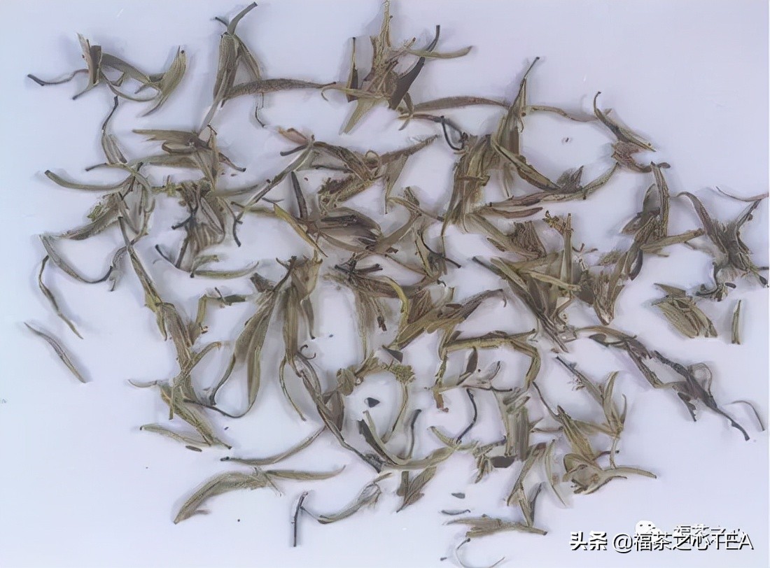 茶百科 | 中國茶葉分類大綱（收藏版）