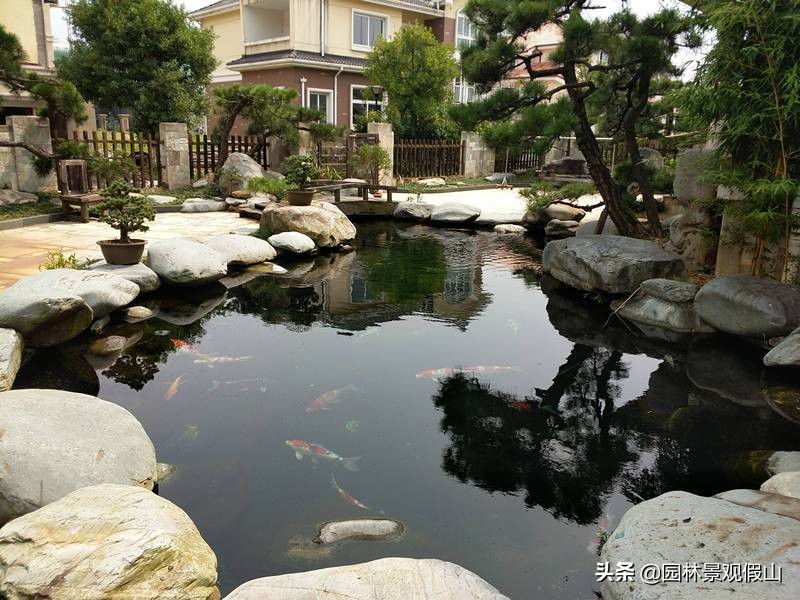 无水不成园，别墅庭院鱼池原来这么美