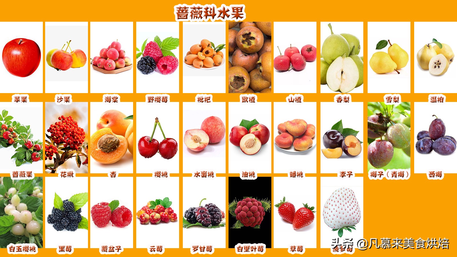 水果分类有哪些？42个科154种水果别说吃过，你见过多少