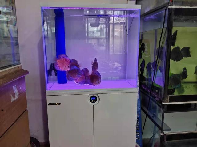 鱼缸过滤形式选择，应该注重实效，我们不管个人手工爱好的问题