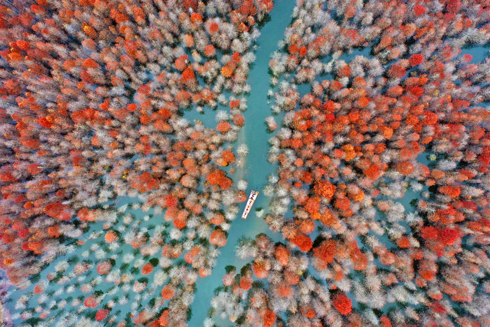 秋天，摄影人的天堂