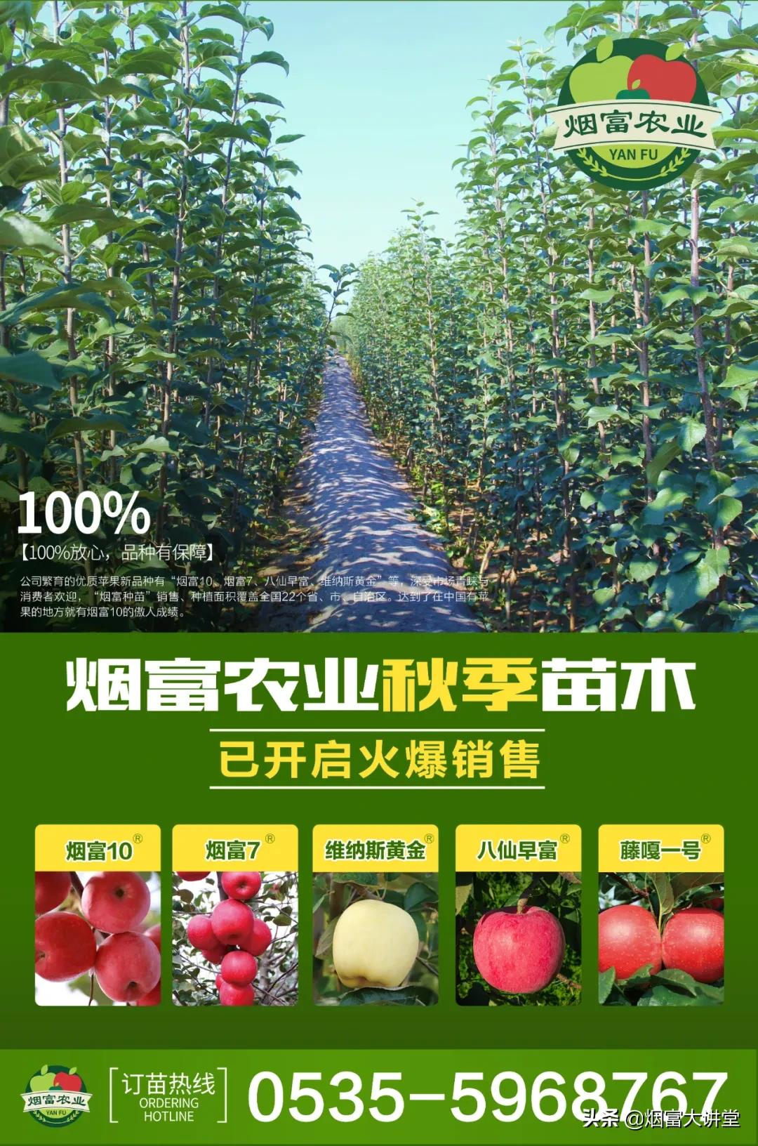 烟台市蓬莱区“一县一业”发展交流会丨山东烟富农业大咖云集