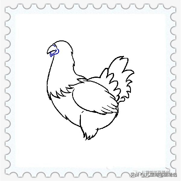 儿童简笔画精选【家禽家畜】-肉鸡（Chicken）的绘画教程