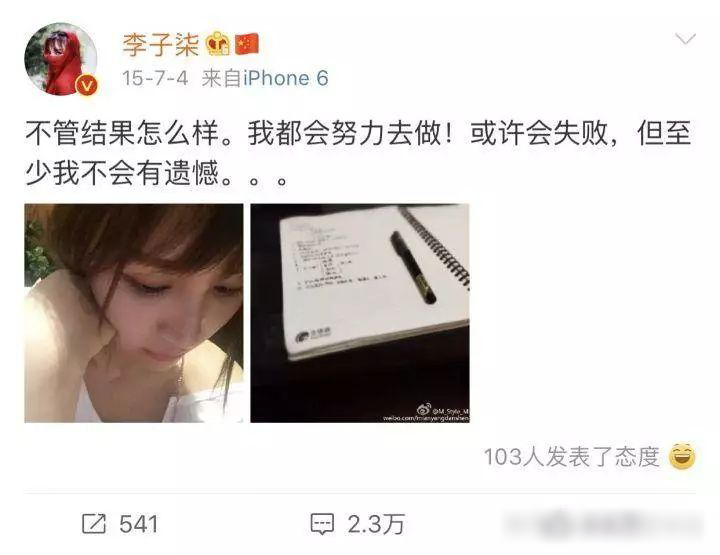 网红李子柒（李佳佳背景资料）怎么停止更新视频,资本手段背后有什么秘密?