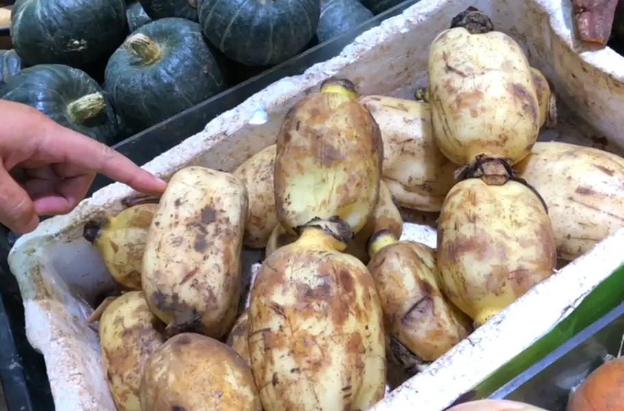 入伏吃什么菜好（适合入伏吃的5种菜）