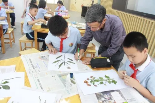 点赞！丰泽这所学校深耕细作，让中医药文化在校园中扎根绽放