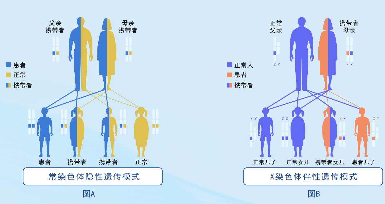 人火化后，基因去哪了？火化是否影响基因延续，火葬会废除吗？