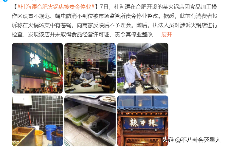 明星开店“三大效应”成隐患？海涛火锅店苍蝇飞舞，郑恺被曝抄袭