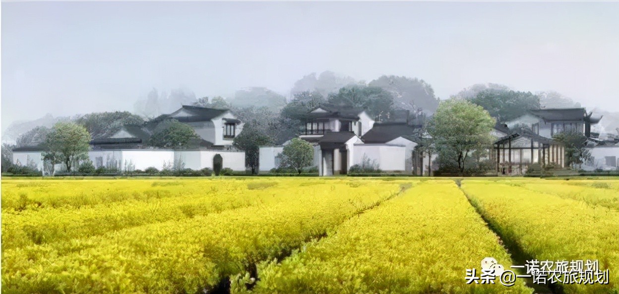 村庄规划在于分类，助力乡村振兴及发达地区乡村振兴部署一览