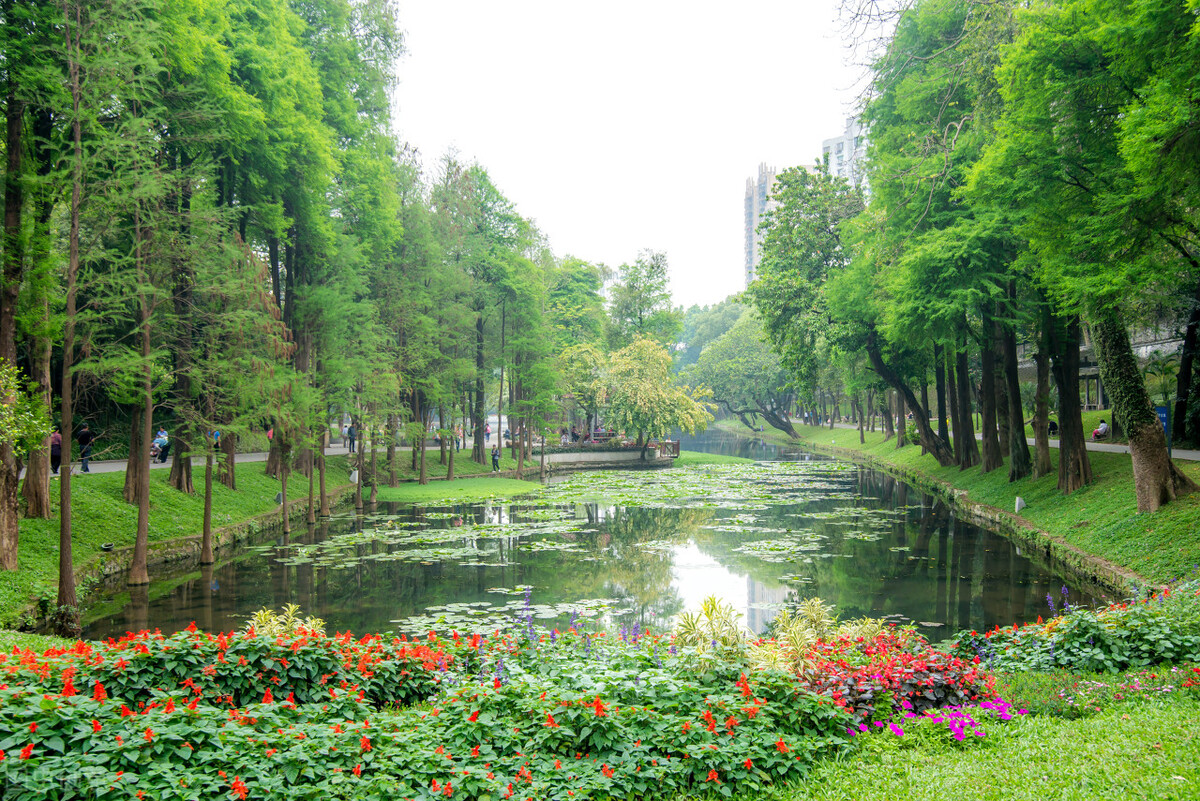 推荐中国十大最美城市公园，哪个在你心中是最美？插图30