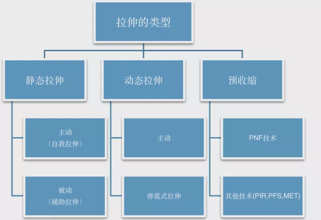 千萬別這樣拉筋，越拉越受傷！22張圖糾正你的拉伸動作！