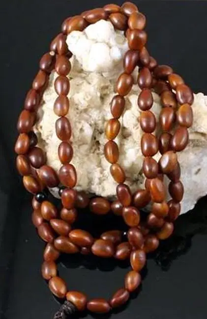 菩提子种类全详解（配图不易）