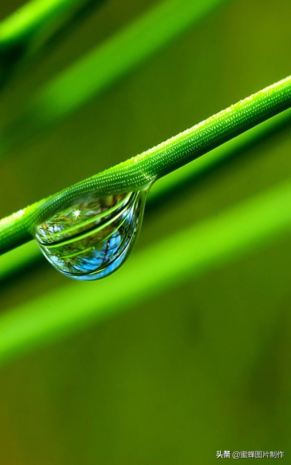 高清绿色护眼壁纸美景美图