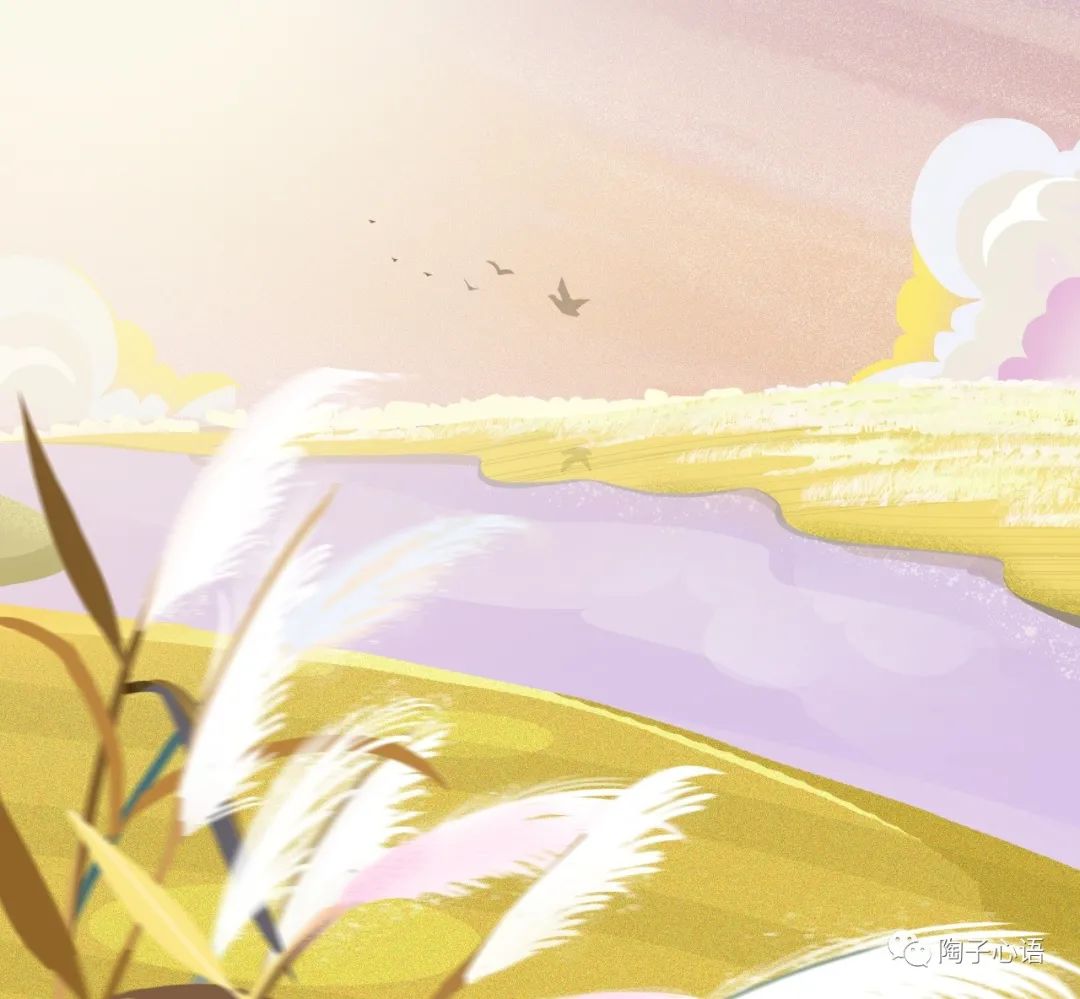 写作——勇气比才华更重要