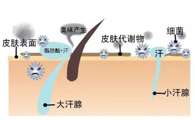 黄种人平均智商比其他人种高？看看我们的专属优势，不比白种人差