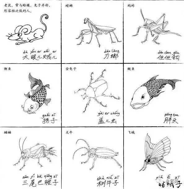 天津人,你为嘛不说天津话了?