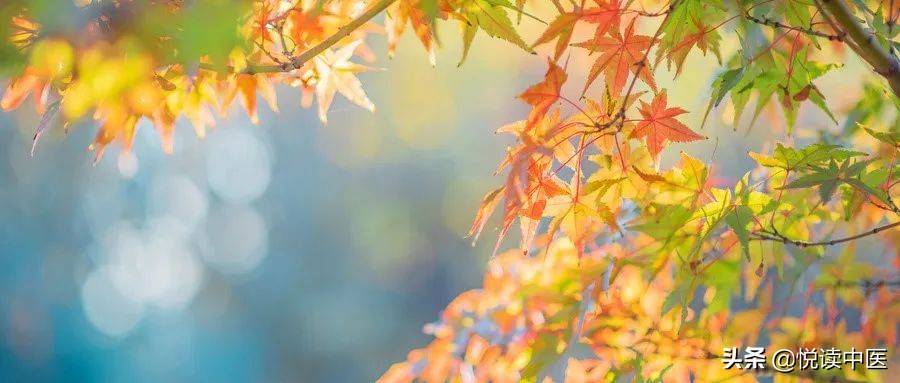 这10种头面部疼痛，纬脉针灸都可以一穴止痛