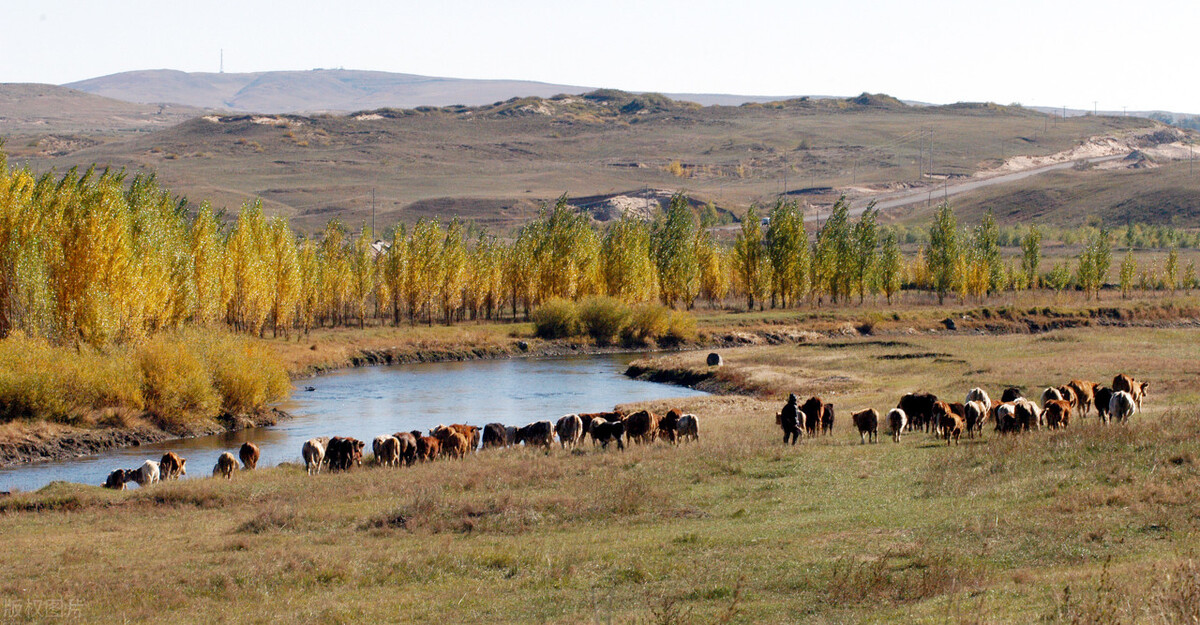 国内最美的秋色都在内蒙古，这个秋天一定要打卡，错过再等一年插图24