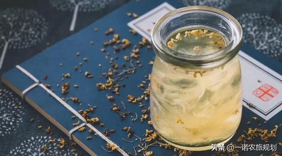旅游+大健康:当下康养旅游的8大热点