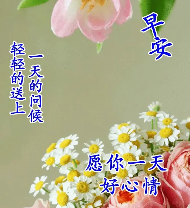 托一片云霞带一份祝福给你,同时由衷地向你说一声:早安快乐