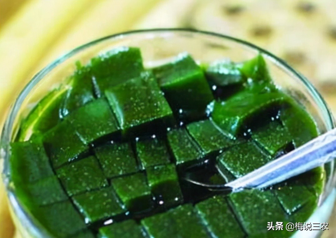 奶茶里的“燒仙草”，究竟是什么草？