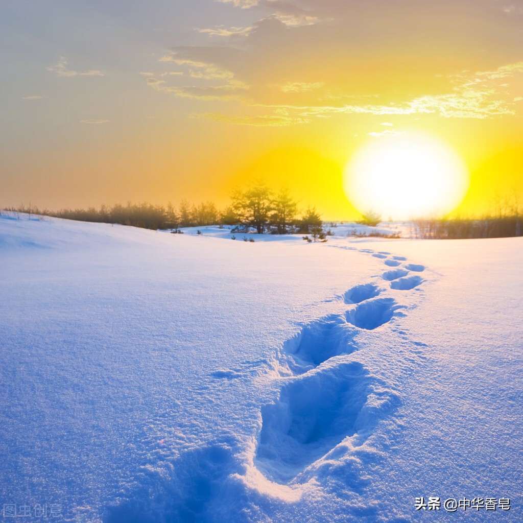 试试就试试皂，沐浴清晨的**缕阳光，傲迎霜雪勇敢前进