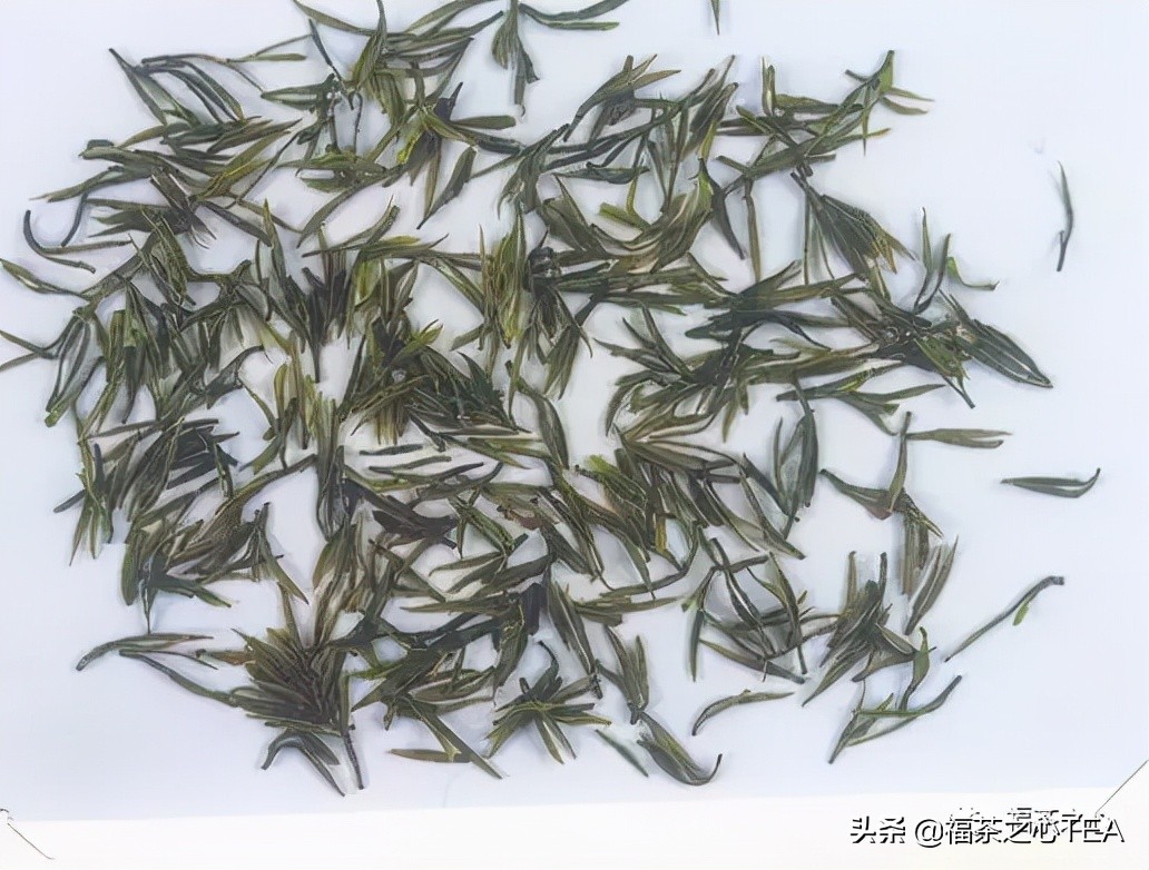 茶百科 | 中國茶葉分類大綱（收藏版）