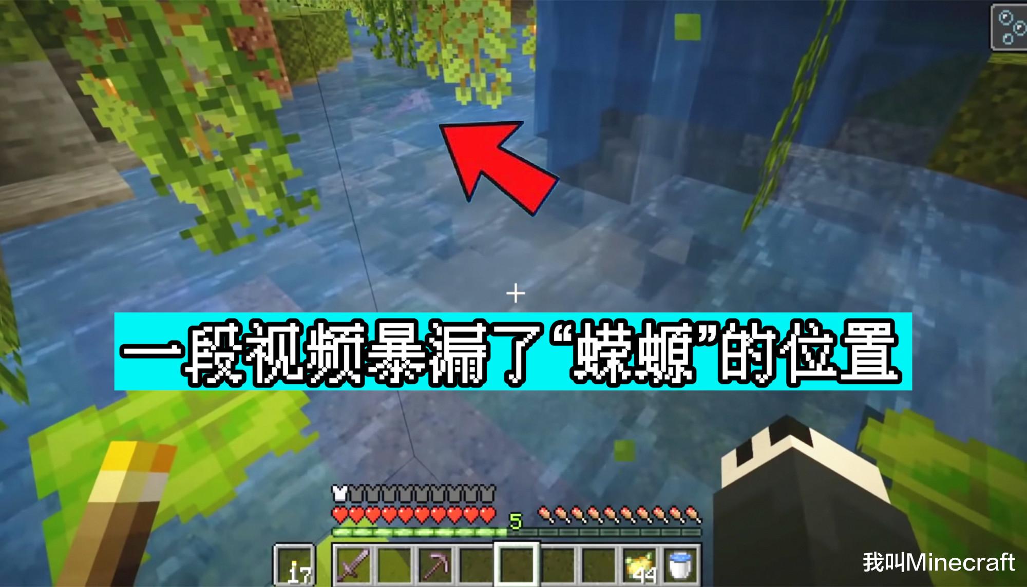 蝾螈不吃东西怎么办 蝾螈不吃东西会饿死吗 爱上奇闻 一个很神秘的地方