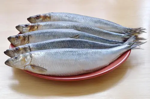 除数和被除数怎么区分（除数和被除数的位置）