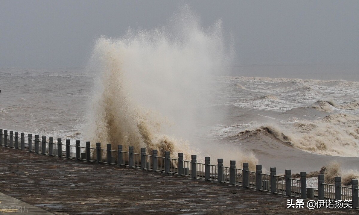 四年级（上册）语文课本里的古诗