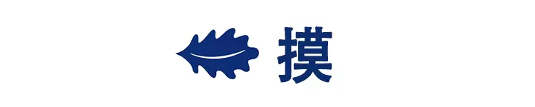 看闻摸躺睡全面测评苏老伯细黄麻乳胶床垫 睡个美容觉