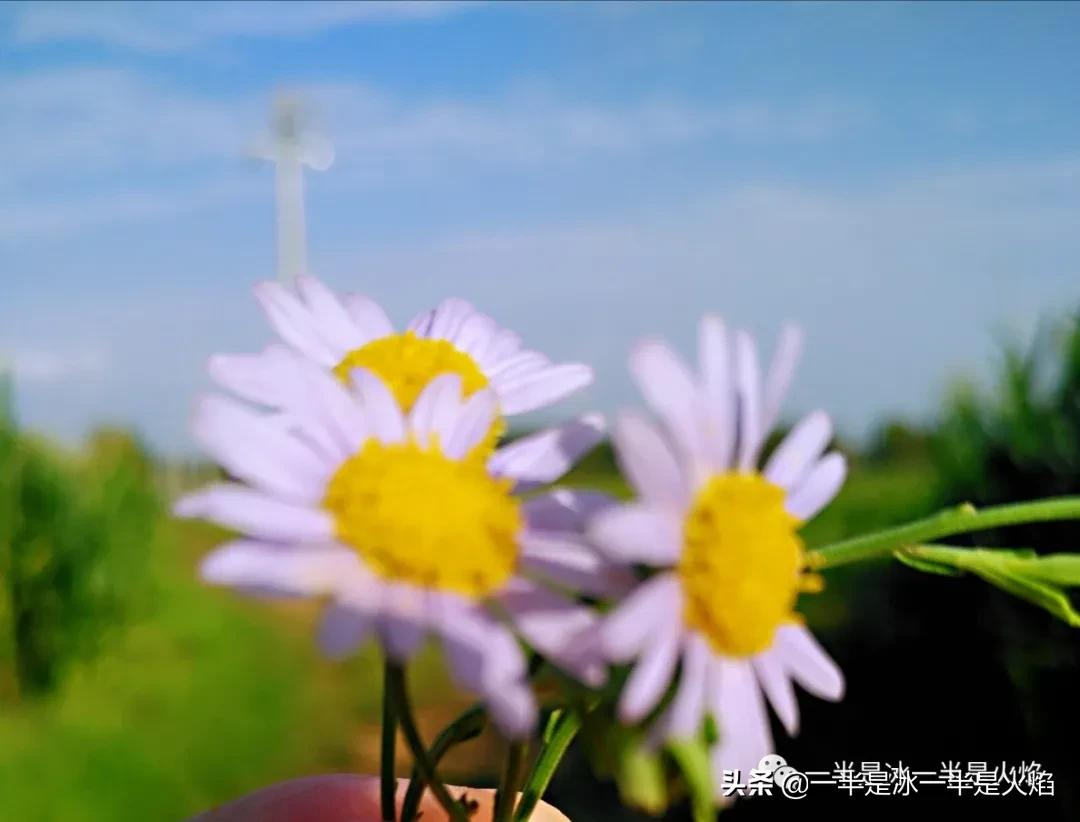 随笔：可不，貌似什么都一晃似的