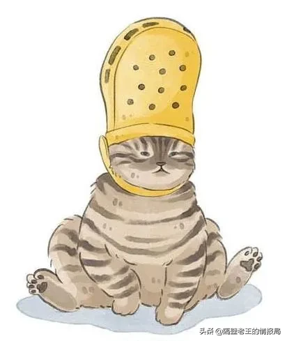 隔壁老王的猫咪情报|关于猫咪生产你知多少?不要再手足无措了