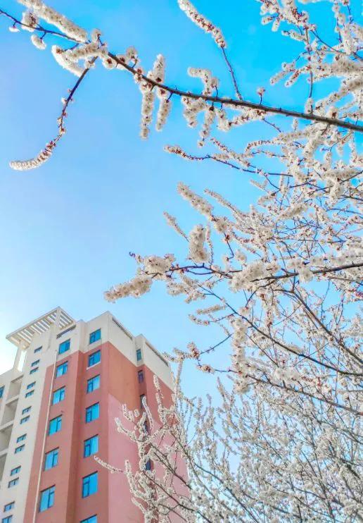 中原工学院改名后会如何命名，河南电子科技大学还是中原工业大学