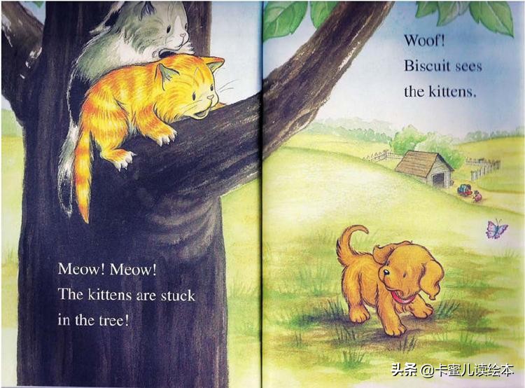 英文有声绘本《Biscuit wants to play》小饼干想要玩耍