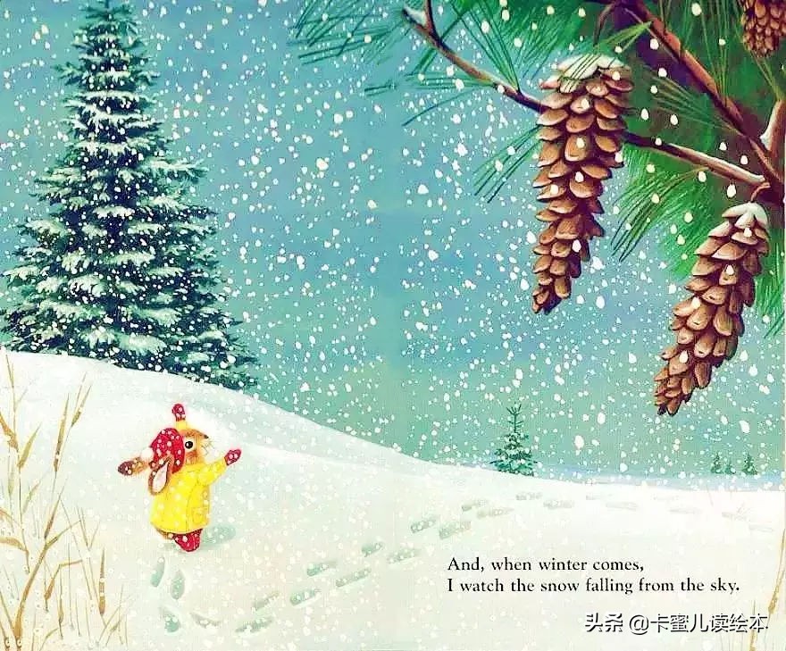 英文有声绘本《I am a bunny》我是一只小兔子