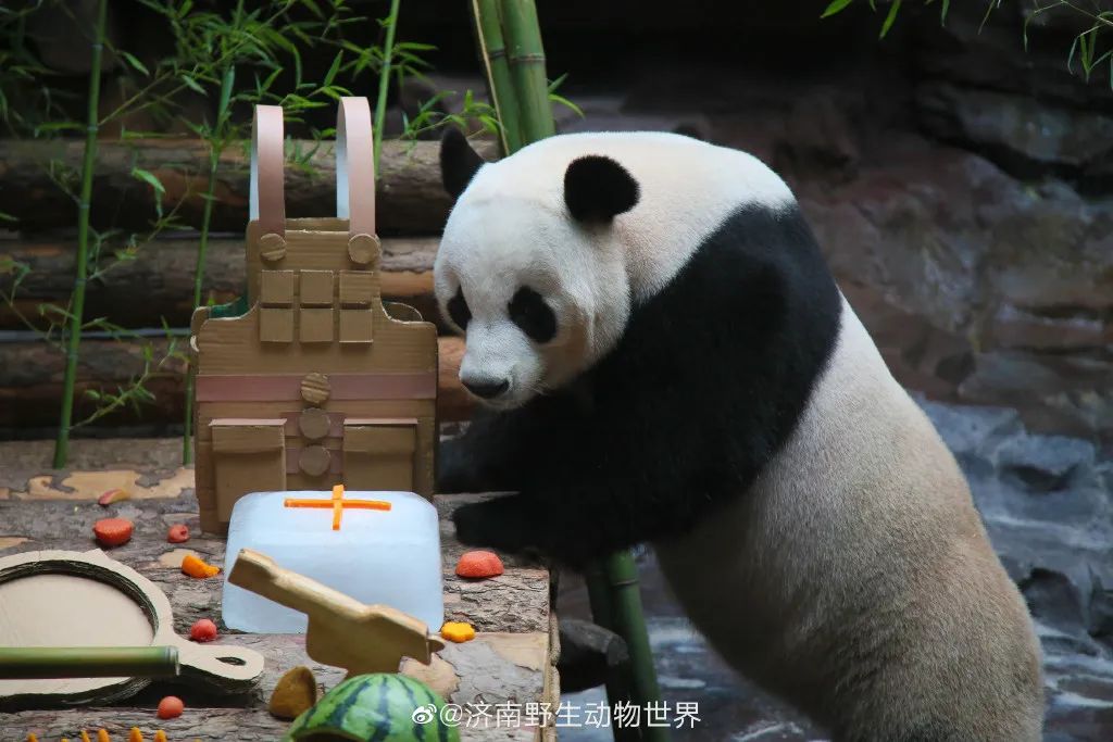猛男必备礼物（生日礼物 男）