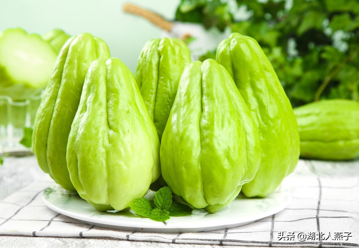 蔬菜有哪些瓜(100种瓜类大全图片和名字) - 浩迪网