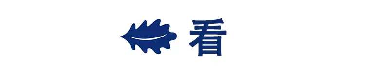 看闻摸躺睡全面测评苏老伯细黄麻乳胶床垫 睡个美容觉
