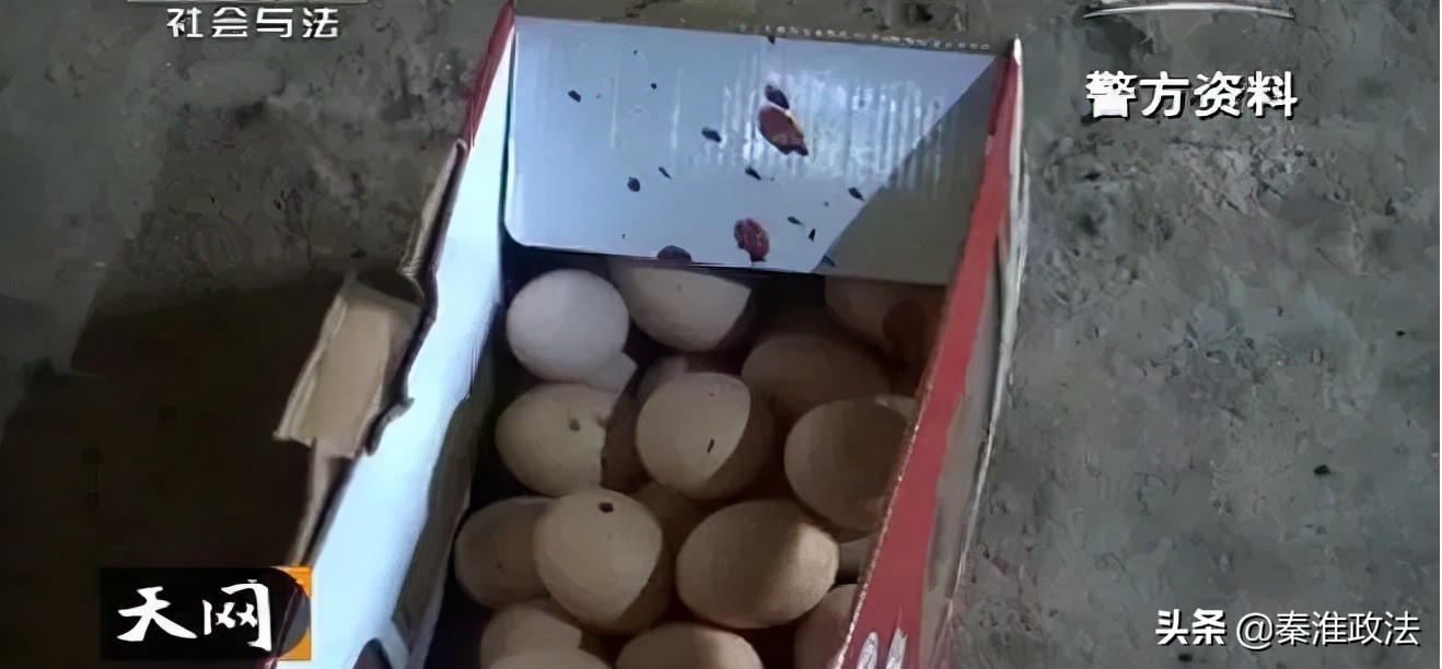 湖北崇阳杀妻案侦破纪实