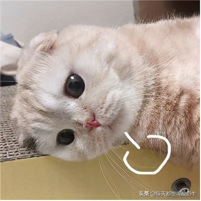 送什么礼物可以让女孩子开心（能让女朋友开心的礼物）