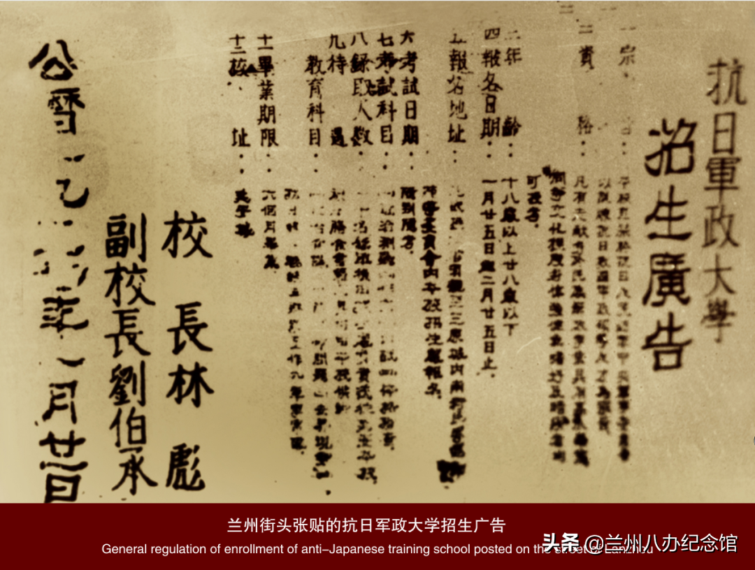 在线观展 