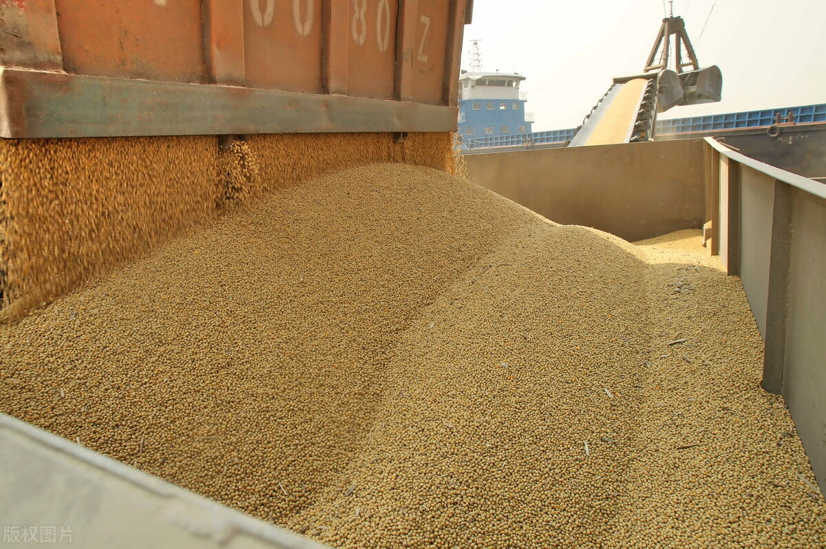 大豆磷脂是什么东西，大豆磷脂是如何提取的？