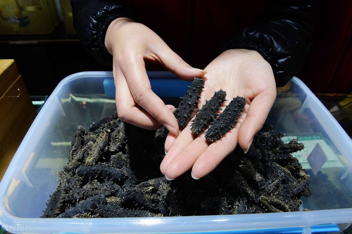 干海参有效期可存放几年还有保质期及4年还可以吃吗